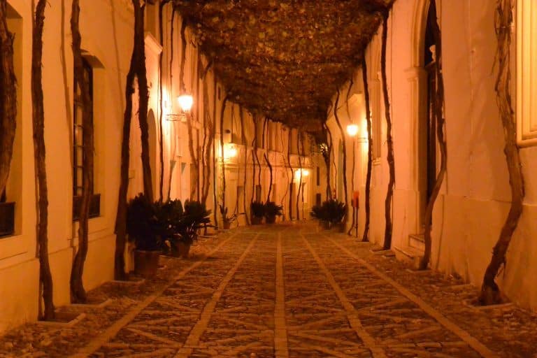 Jerez de la Frontera (105) (Jerez de la Frontera) (Andalusia)