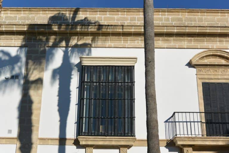 Jerez de la Frontera – shadow of the palm tree, Nov.2016 (Andalucía) (Jerez de la Frontera)