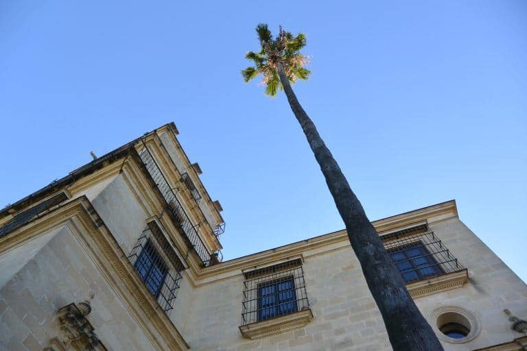 Jerez de la Frontera (32) (Jerez de la Frontera) (Andalusia)