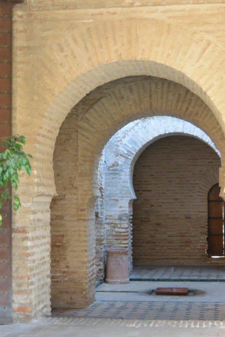 Jerez de la Frontera (33) (Jerez de la Frontera) (Andalusia)