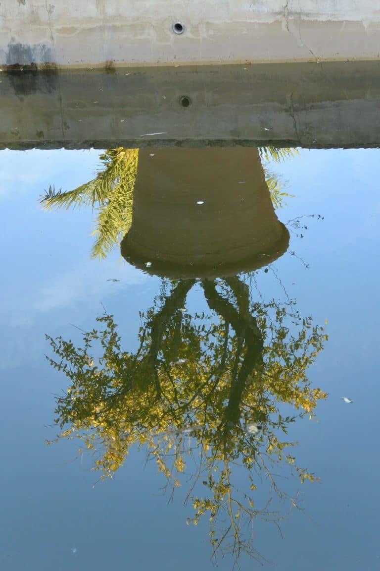 Jerez de la Frontera (46) (Jerez de la Frontera) (Andalusia)