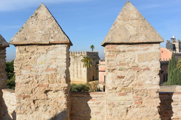 Jerez de la Frontera (52) (Jerez de la Frontera) (Andalusia)