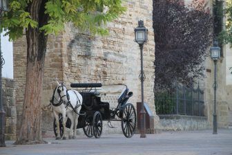 Jerez de la Frontera – body in the church, Nov.2016