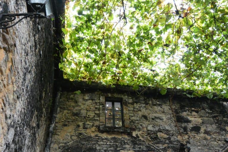 Jerez de la Frontera (91) (Jerez de la Frontera) (Andalusia)