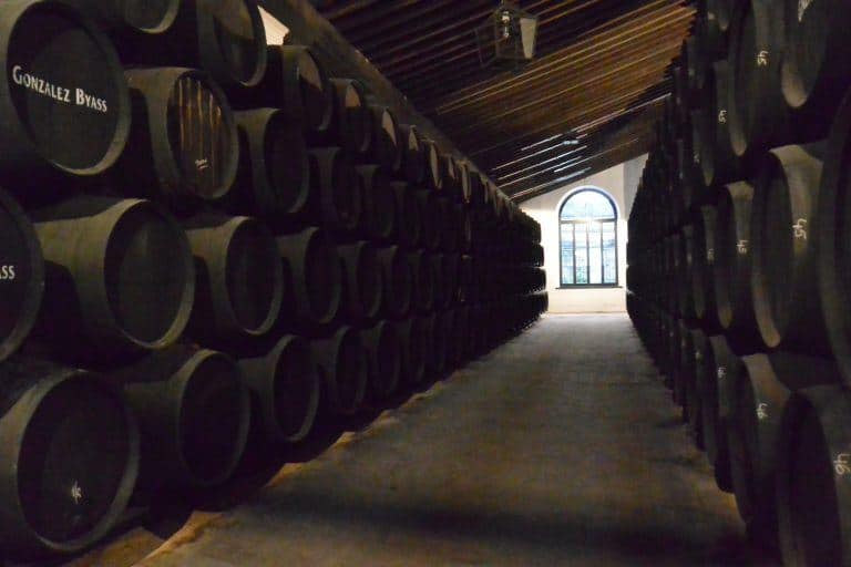 Jerez de la Frontera (94) (Jerez de la Frontera) (Andalusia)