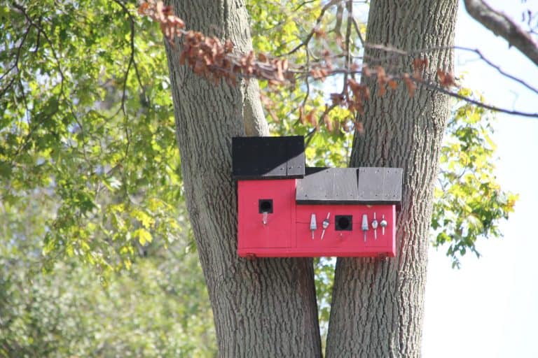 Rockport – small red house, Oct.2016 (Rockport)