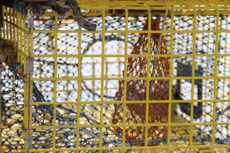 Rockport – net for lobsters, Oct.2016 (Rockport)
