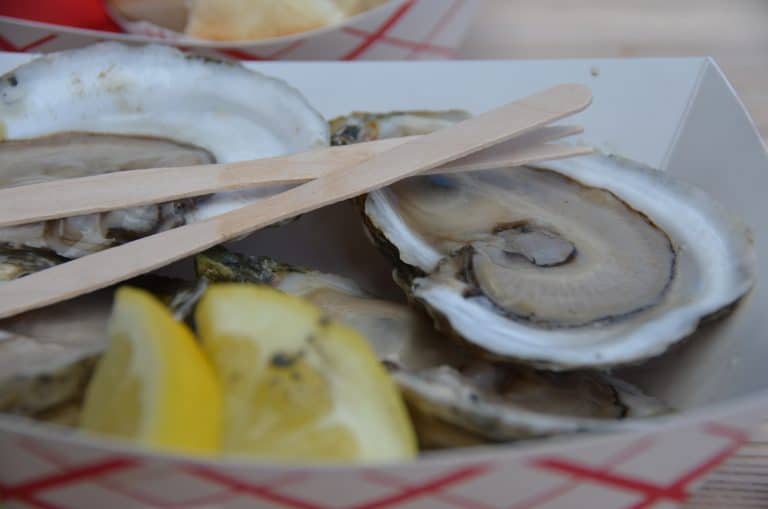 Rockport – oyster, Oct.2016 (Rockport)
