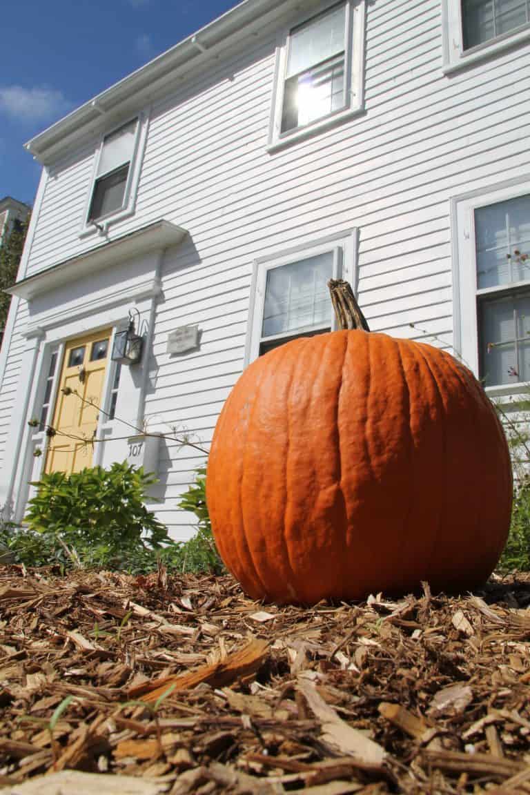 Rockport – pumpkin, Oct.2016 (Rockport)