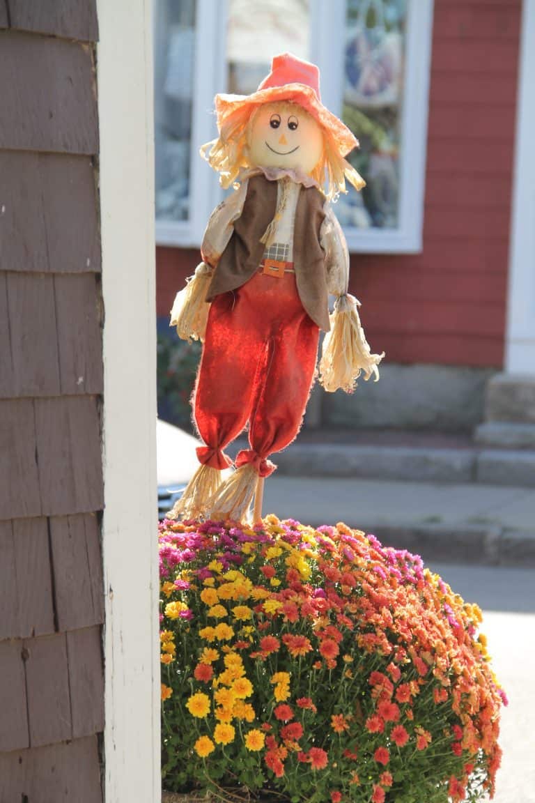 Rockport – doll, Oct.2016 (Rockport)