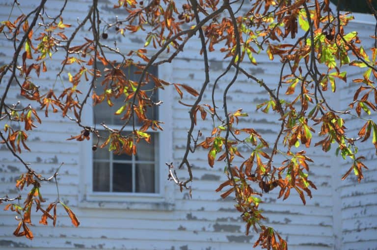 Rockport – autumn, Oct.2016 (Rockport)