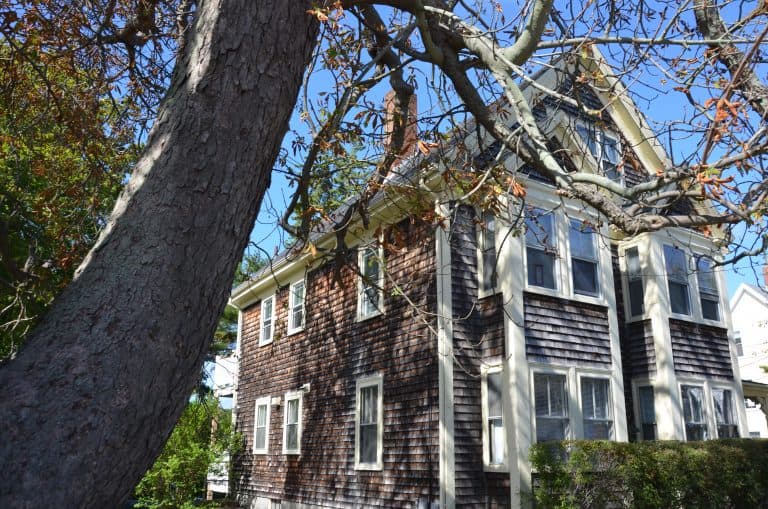 Rockport – tree and house, Oct.2016 (Rockport)