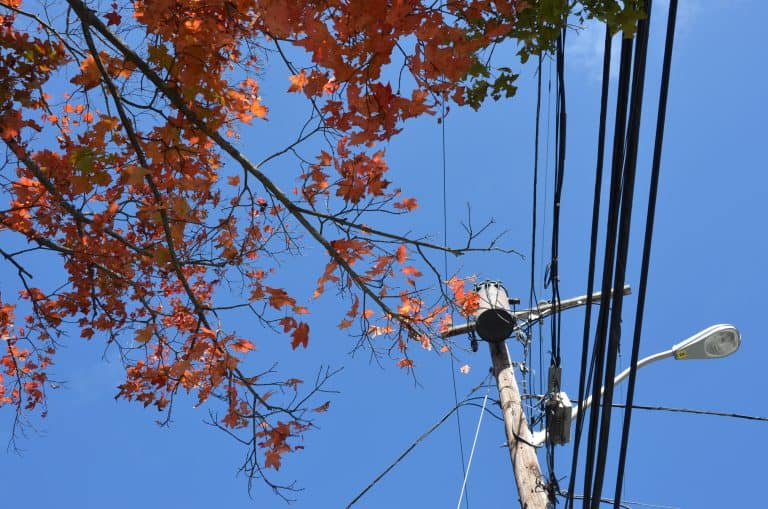 Rockport – red leaves and cables, Oct.2016 (Rockport)