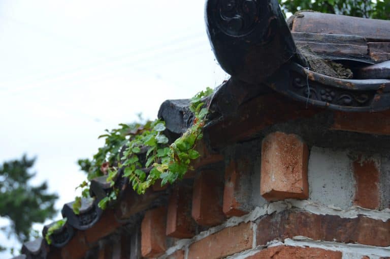 Sado Island, Aikawa Old Town – detail of a house, Aug.2016 (Sado Island)