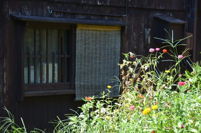 Sado Island, Shukunegi – bamboo blind, Aug.2016 (Sado Island)