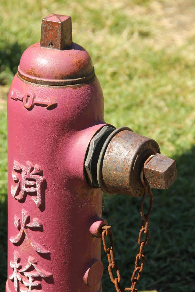 Sado Island, Shukunegi – hydrant, Aug.2016 (Sado Island)