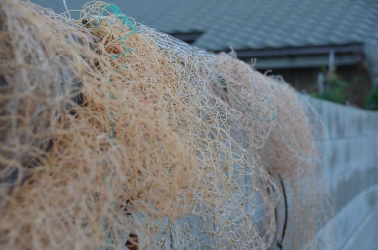 Sado Island, Nanaura – fishing net, Aug.2016 (Sado Island)
