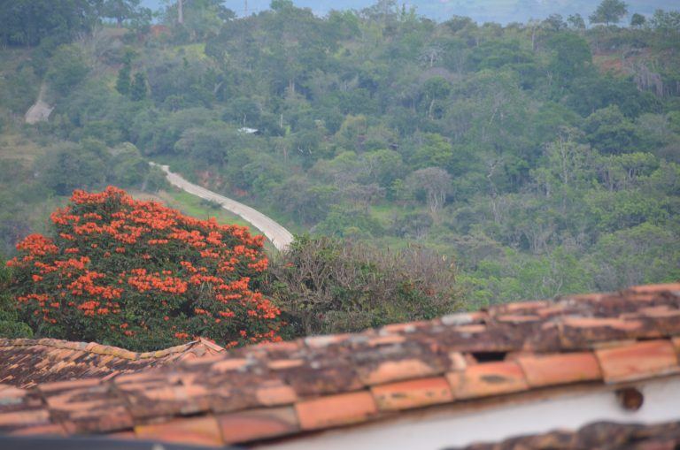 Barichara – flowers and road, Dec.2016 (Barichara)
