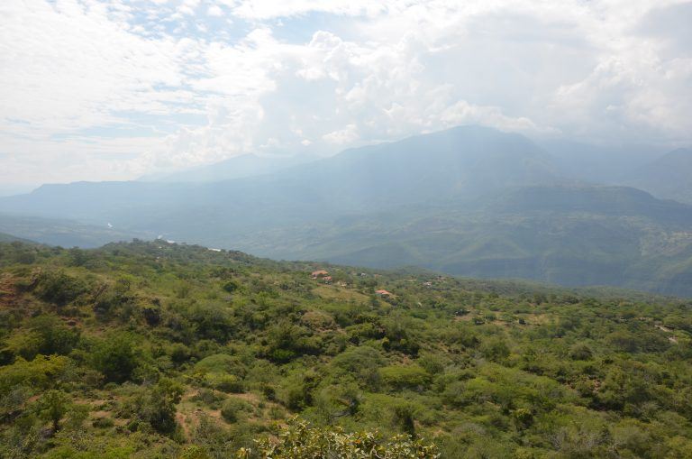 El Camino Real (22) (Barichara)