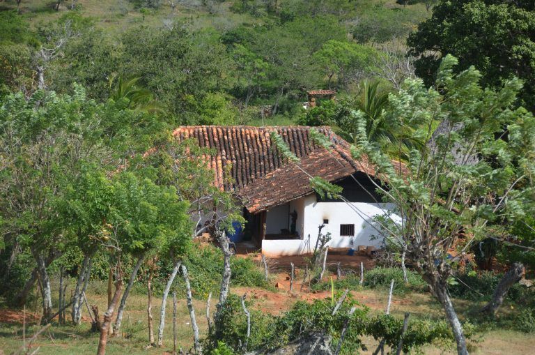 El Camino Real (23) (Barichara)