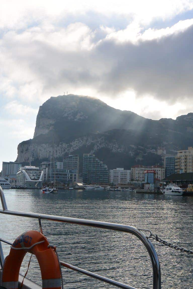 Gibraltar, dolphin watching – from the boat, Nov.2016