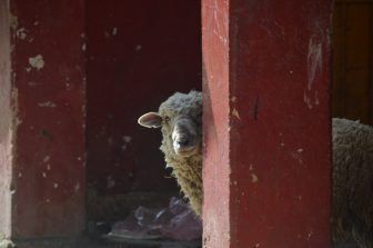 Raquira – street, Dec.2016