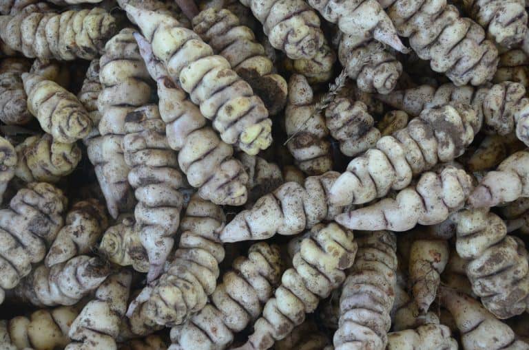 Raquira – vegetable in the market 3, Dec.2016 (Ráquila)