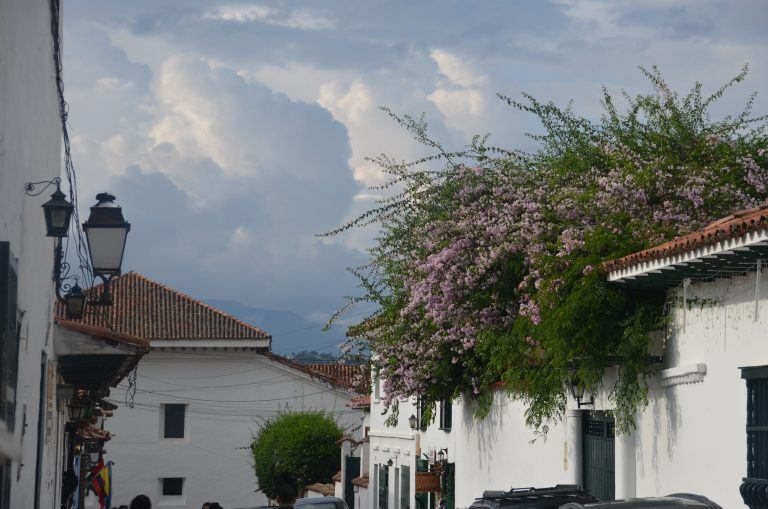 Villa de Leyva – flowers and clouds, Dec.2016 (Villa de Leyva)