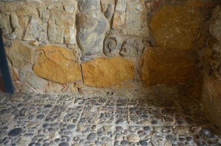 Convento Santo Ecce-Homo – fossil, Dec.2016 (Villa de Leyva)