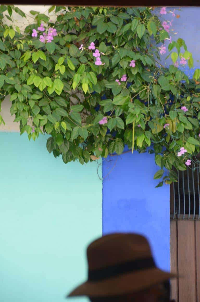 Cartagena – hat, Jan.2017 (Cartagena)