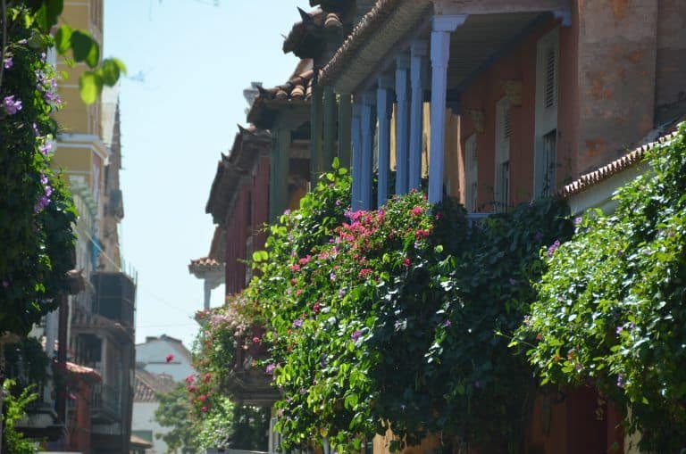 Cartagena – full of plants, Jan.2017 (Cartagena)