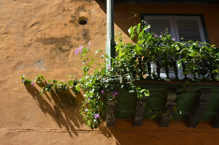 Cartagena – yellow wall, Jan.2017 (Cartagena)