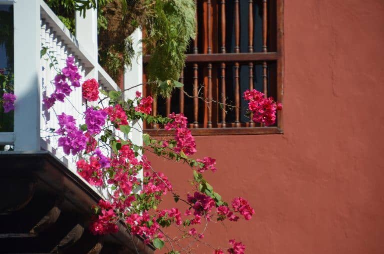 Cartagena – house with flowers, Jan.2017 (Cartagena)