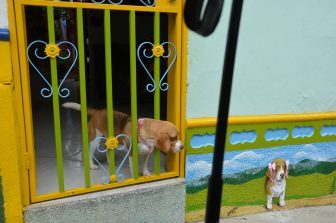 Guatape – life picture, Dec.2016