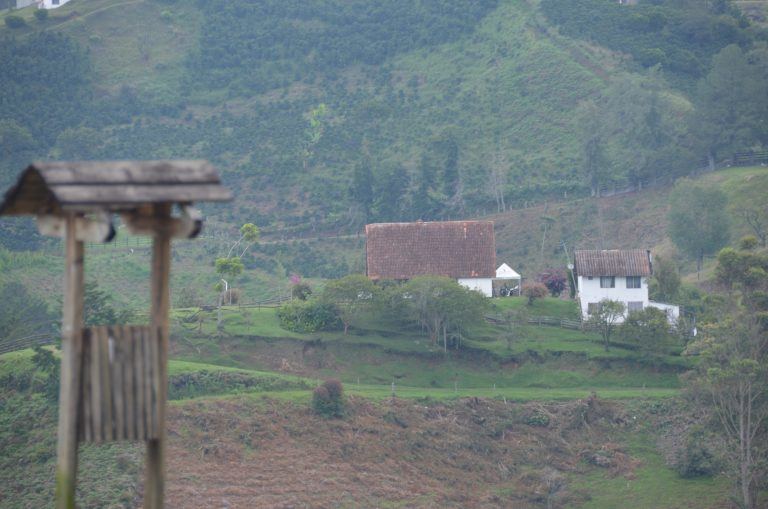 Piedra del Penol (9) (Piedra del Penol)