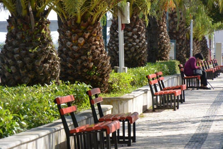 Tavira – red benches, Feb.2017 (Tavira)