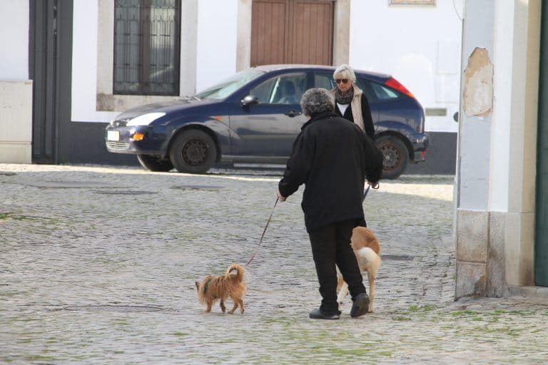 Tavira – dog walker, Feb.2017 (Tavira)
