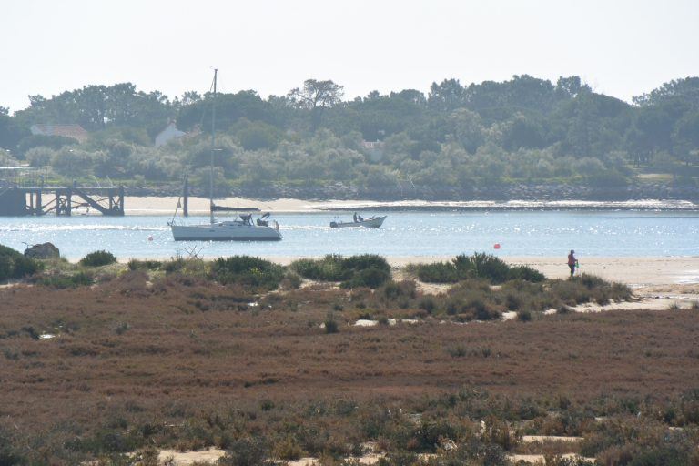 Tavira (56) (Tavira)