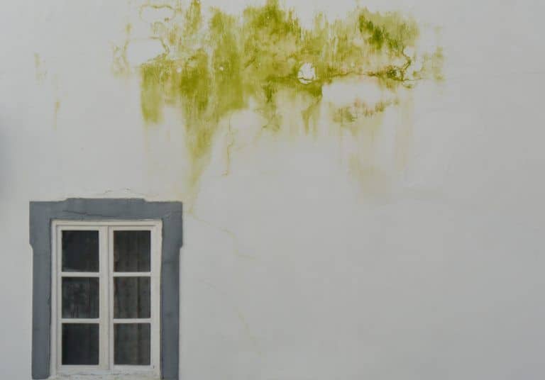 Tavira – window and stain, Feb.2017 (Tavira)