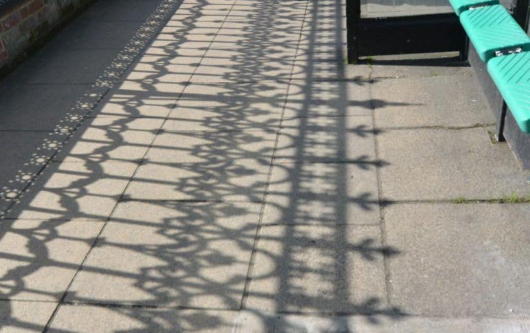 Winchester – shadow of the fence, Mar.2017 (Winchester)