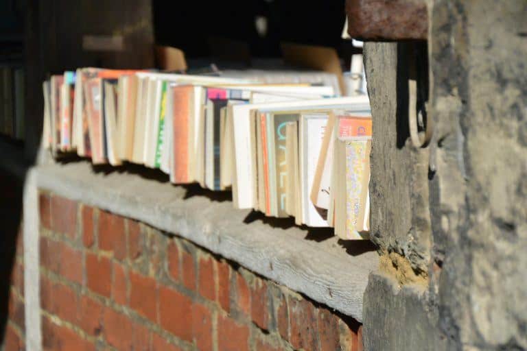 Winchester – books, Mar.2017 (Winchester)