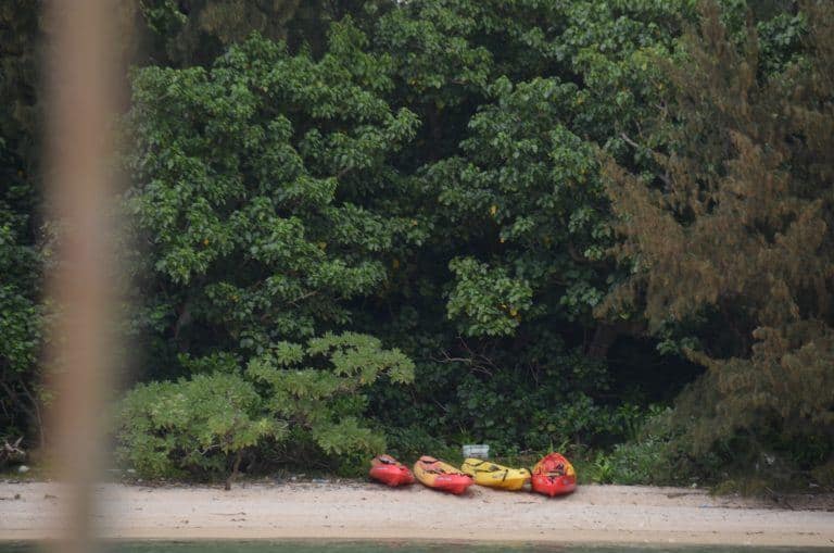 Ishigaki (11) (Isla Ishigaki)