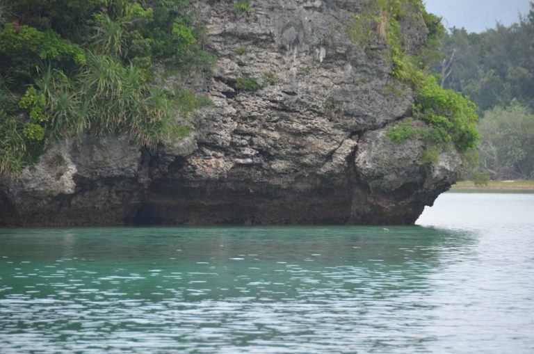 Ishigaki (14) (Isla Ishigaki)