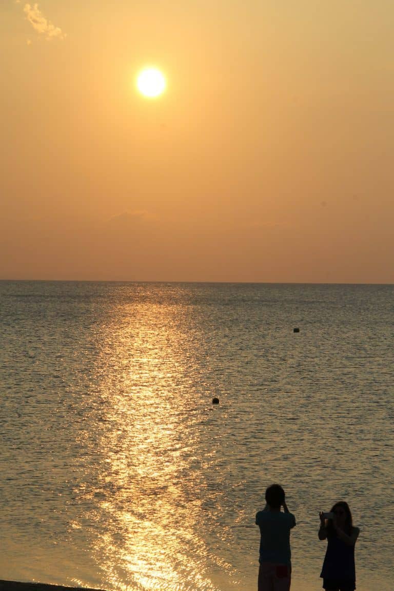 Ishigaki (25) (Isla Ishigaki)