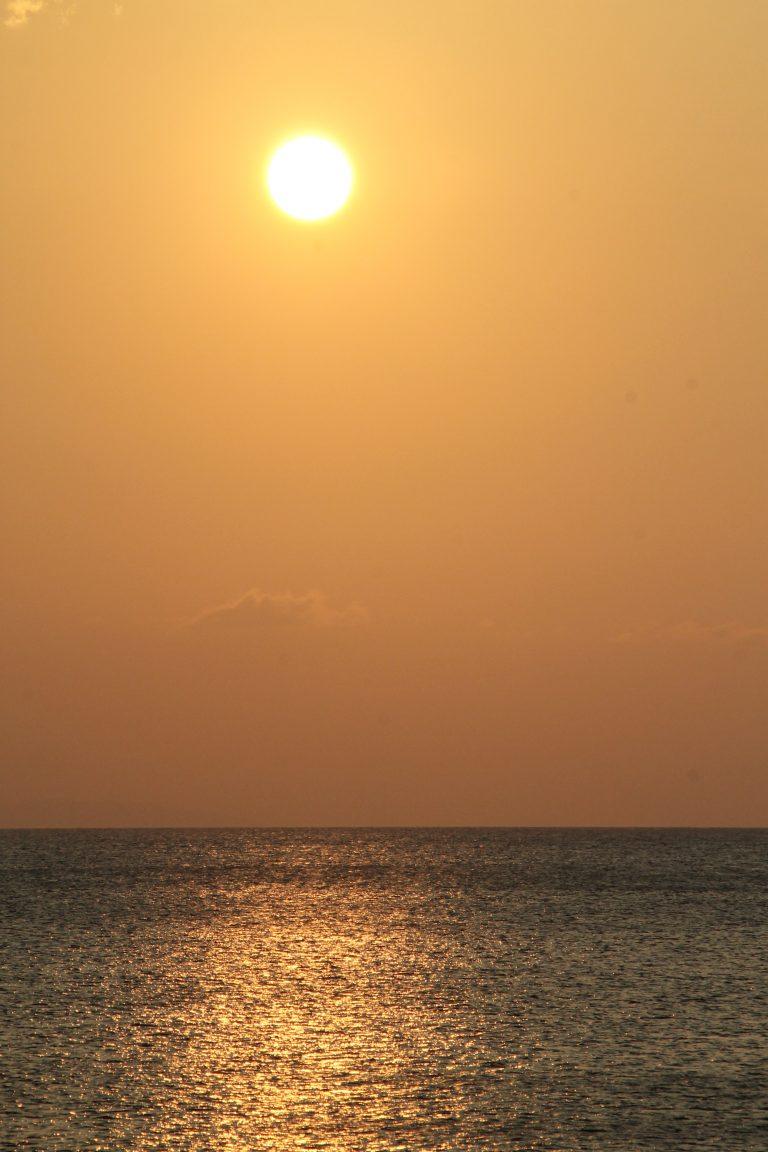 Ishigaki (26) (Isla Ishigaki)