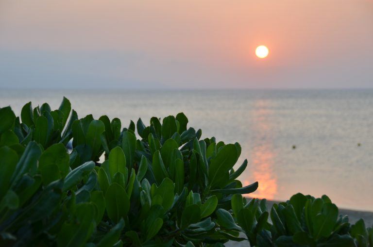 Ishigaki (32) (Isla Ishigaki)