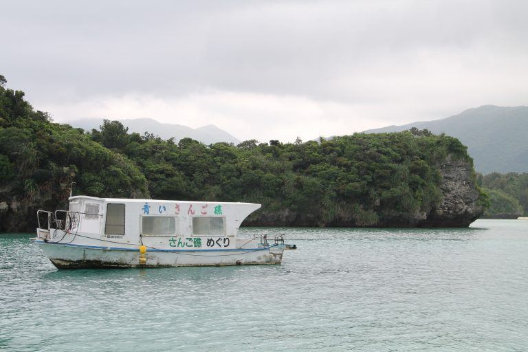 Ishigaki (4) (Isla Ishigaki)