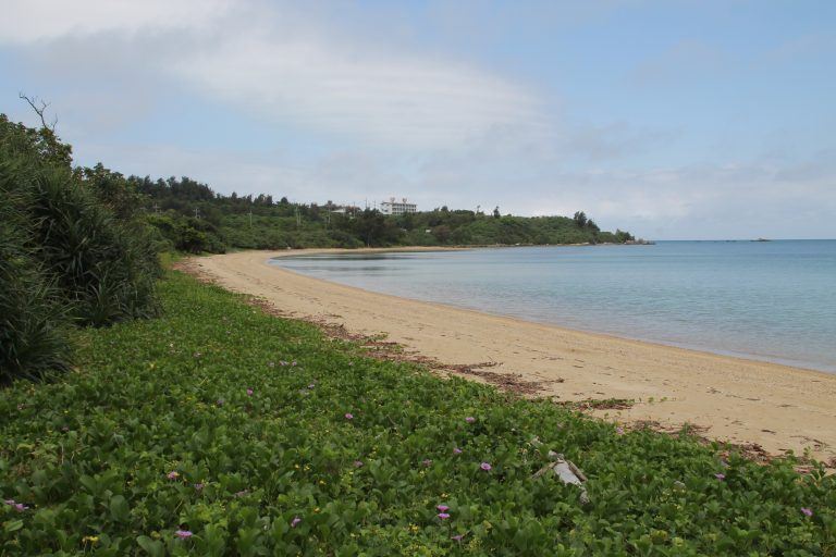 La caña de azúcar de Ishigaki Island, Chinese Grave y la fábrica de sal