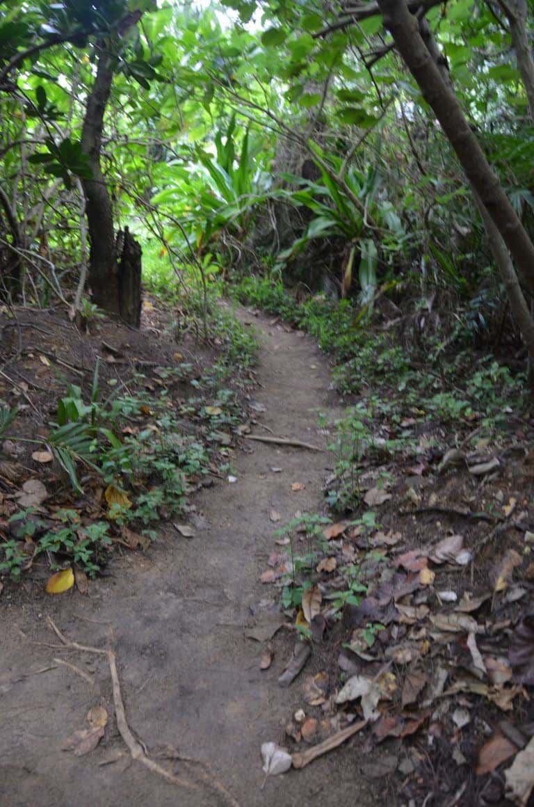 Ishigaki (51) (Isla Ishigaki)