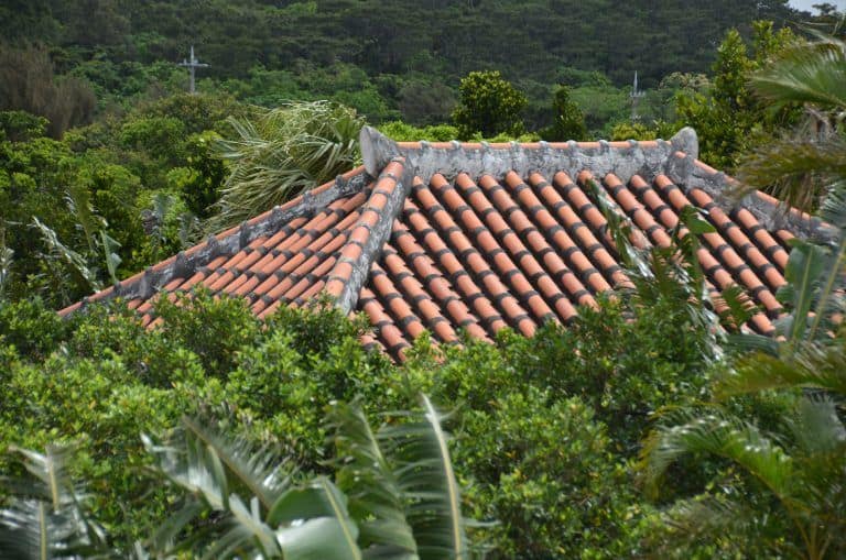 Ishigaki (60) (Isla Ishigaki)